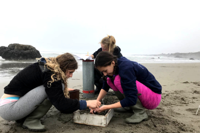 Exploring the Wonders of Camp Biology: Everything You Need to Know