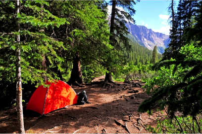 Going Off the Grid: Discovering the Freedom of Dispersed Camping